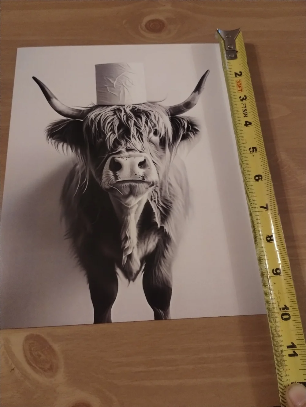 Black White Highland Cow Wall Art Print Farmhouse Decor Rustic Western 8x10 Stoc